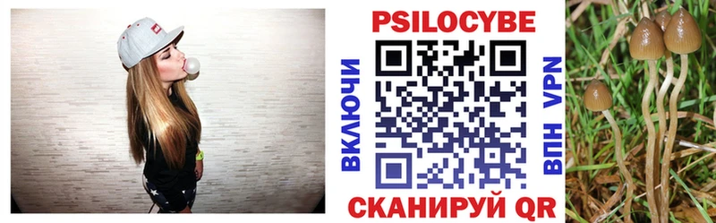 наркота  Кемерово  Галлюциногенные грибы Psilocybine cubensis 